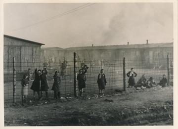 The womens camp at bergen belsen at liberation the womens camp at bergen belsen at liberation
